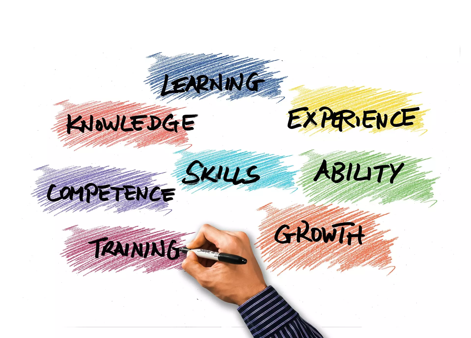 Individuele coaching